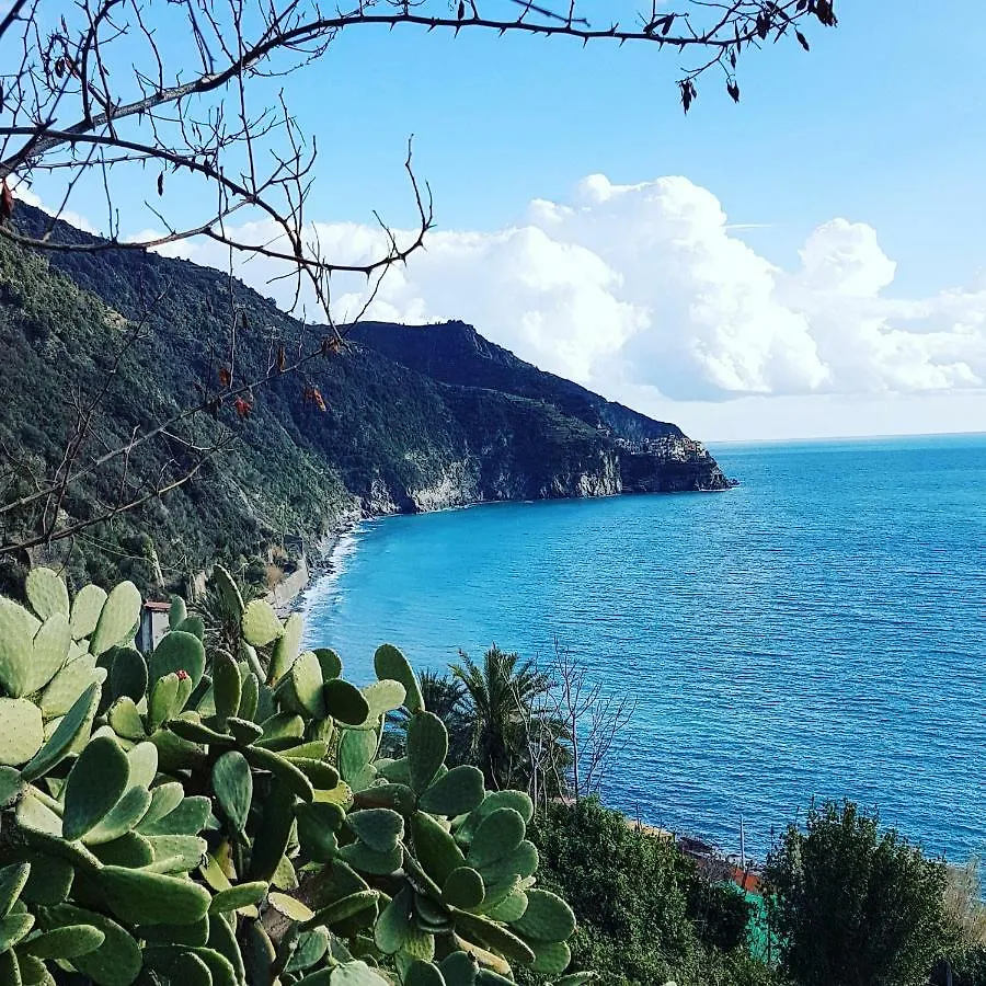 Affittacamere Il Timone Corniglia Italië